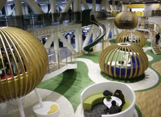 Discover your true calling at Academy of Applied Arts