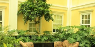 Add Lush to your home, Go Spiritually Green