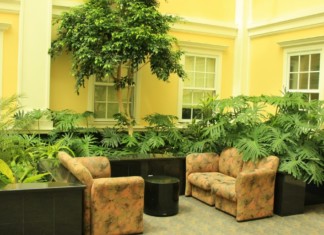 Add Lush to your home, Go Spiritually Green