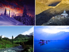 Amour in the Heaven on Earth