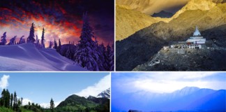 Amour in the Heaven on Earth