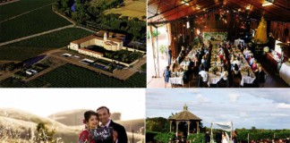 Vineyard Weddings are really a thing