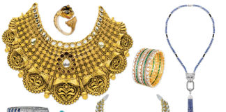 Feed Your Bijouterie Case