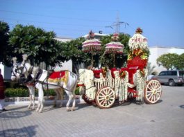 Welcome Your Knight In A Shining “Baggi” With Sohan Lal & Sons Ghoriwala