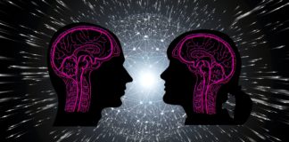 The Male Brain Vs The Female Brain