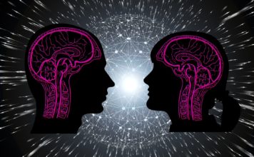 The Male Brain Vs The Female Brain