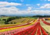 Hokkaido: A Lover’s Paradise