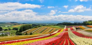 Hokkaido: A Lover’s Paradise