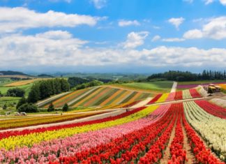 Hokkaido: A Lover’s Paradise