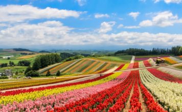 Hokkaido: A Lover’s Paradise