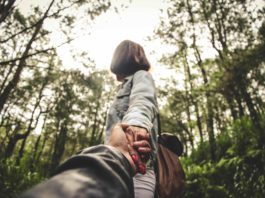 Vacay In the Wilderness