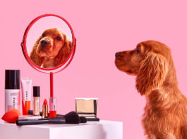 Cruelty-Free Make-up Brands