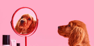 Cruelty-Free Make-up Brands