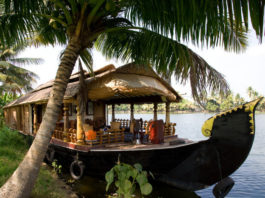 Top 5 Offbeat Honeymoon Places In South India