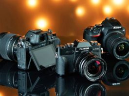 Nikon Camera For Picture Perfection