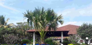 Reconnect With Yourself At Novotel Goa Dona Sylvia Resort