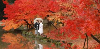 Japan: The Ultimate Romantic Honeymoon Destination