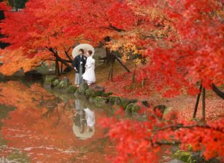 Japan: The Ultimate Romantic Honeymoon Destination