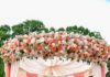 It’s All About Coral This Wedding Season