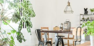 Eco-Friendly Decor Ideas For Your Home