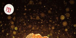 PP Jewellers: Perfectly Complementing Your Bridal Look