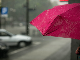 Some immunity boosting tips to protect you this monsoon