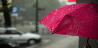 Some immunity boosting tips to protect you this monsoon