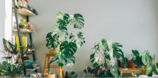 Perfect ways to induce fresh air in your living space