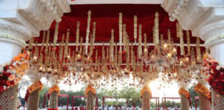 Bask entertainment for that picture perfect wedding