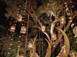 Absolutely Amazing Birdcage Wedding decor ideas