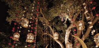 Absolutely Amazing Birdcage Wedding decor ideas
