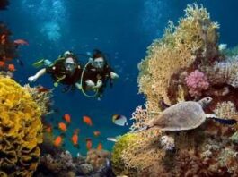 Love and live :Adventure honeymoon ideas for couples