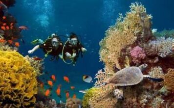 Love and live :Adventure honeymoon ideas for couples