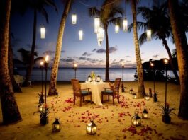 Top best destination for honeymoon In India