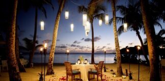 Top best destination for honeymoon In India