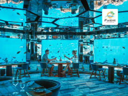 Take Romance to The Next Level in The Maldives with These Underwater Activities