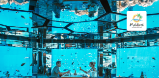 Take Romance to The Next Level in The Maldives with These Underwater Activities