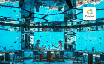 Take Romance to The Next Level in The Maldives with These Underwater Activities