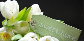 Easy Ways to Spruce up your Living Space