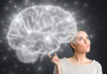 Female Brain & The Science Behind Female Brain And The Science Behind - Wedding Affair