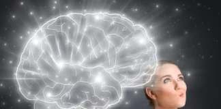 Female Brain & The Science Behind Female Brain And The Science Behind - Wedding Affair