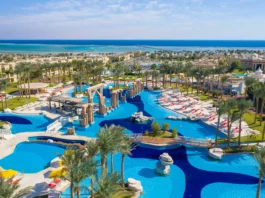 Mark Your Calendars: IMWF 2023 in Sharm El-Sheikh, Egypt! IMWF 2023 - Rixos Premium Seagate