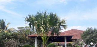 Say ‘I Do’ At Novotel Dona Sylvia Novotel Dona Sylvia Goa - Wedding Affair