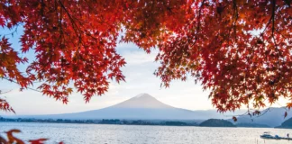 The Land Of Cherry Blossoms Destination International Honeymoon, Japan - Wedding Affair