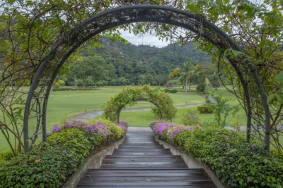 Garden-at-Nexus-Resort-&-Spa-Sabah-Wedding-Affair 