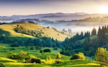 Monsoon Magic: Top 5 Best Places To Visit In India In August Top 5 Best Places To Visit In India In August - Wedding Affair