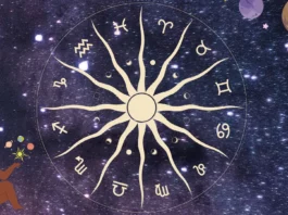 The Astrology of Intelligence: Unveiling the Shining Stars of the Zodiac The Astrology Of Intelligence - Zodiac Signs - Wedding Affair