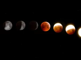 Using Astrology to Personalize Your Wedding Decor and Themes Using Astrology To Personalize Your Wedding Decor - Wedding Affair