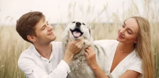 Pets At Weddings: How To Include Your Furry Friends In The Celebration Pets At Weddings - Wedding Affair