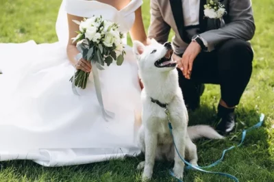 Preparing Your Pet For The Big Day